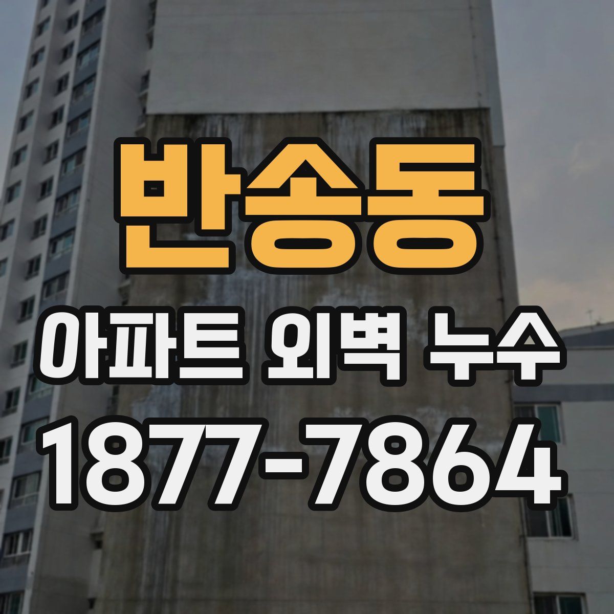 반송동 아파트 외벽 누수