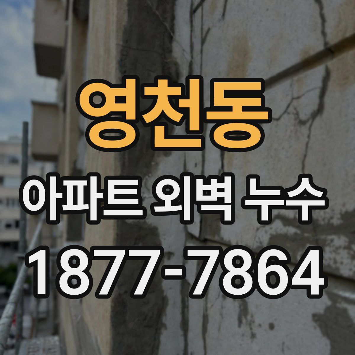 영천동 아파트 외벽 누수