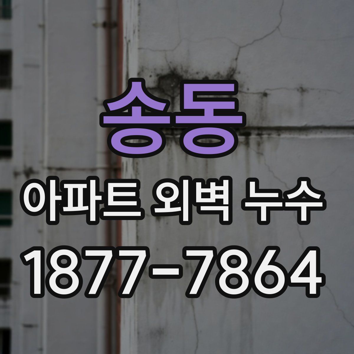 송동 아파트 외벽 누수