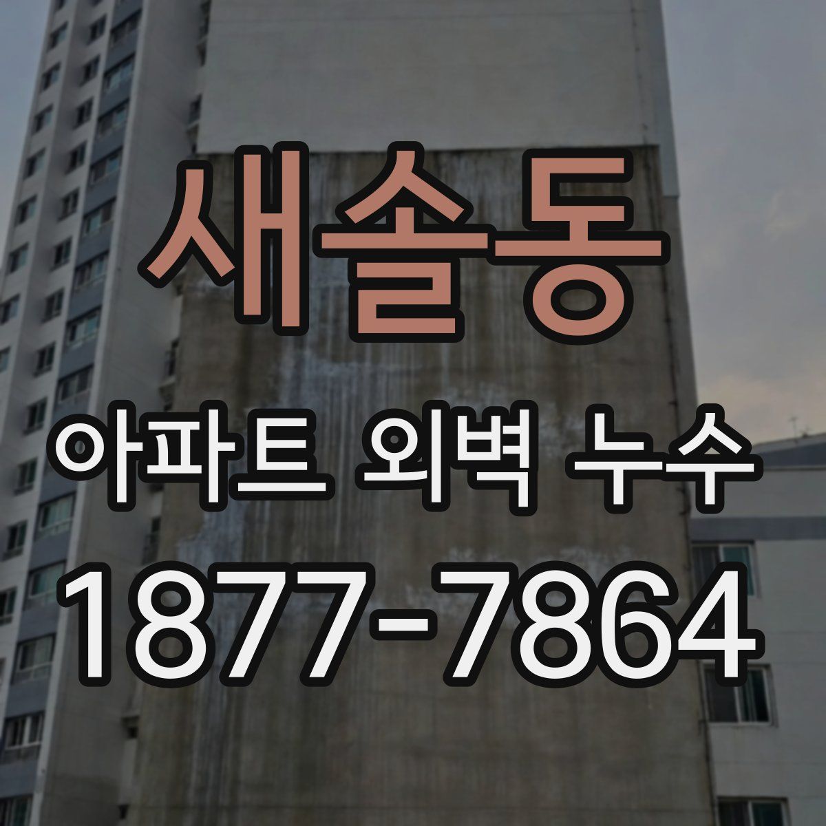 새솔동 아파트 외벽 누수