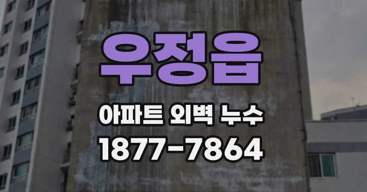 우정읍 아파트 외벽 누수