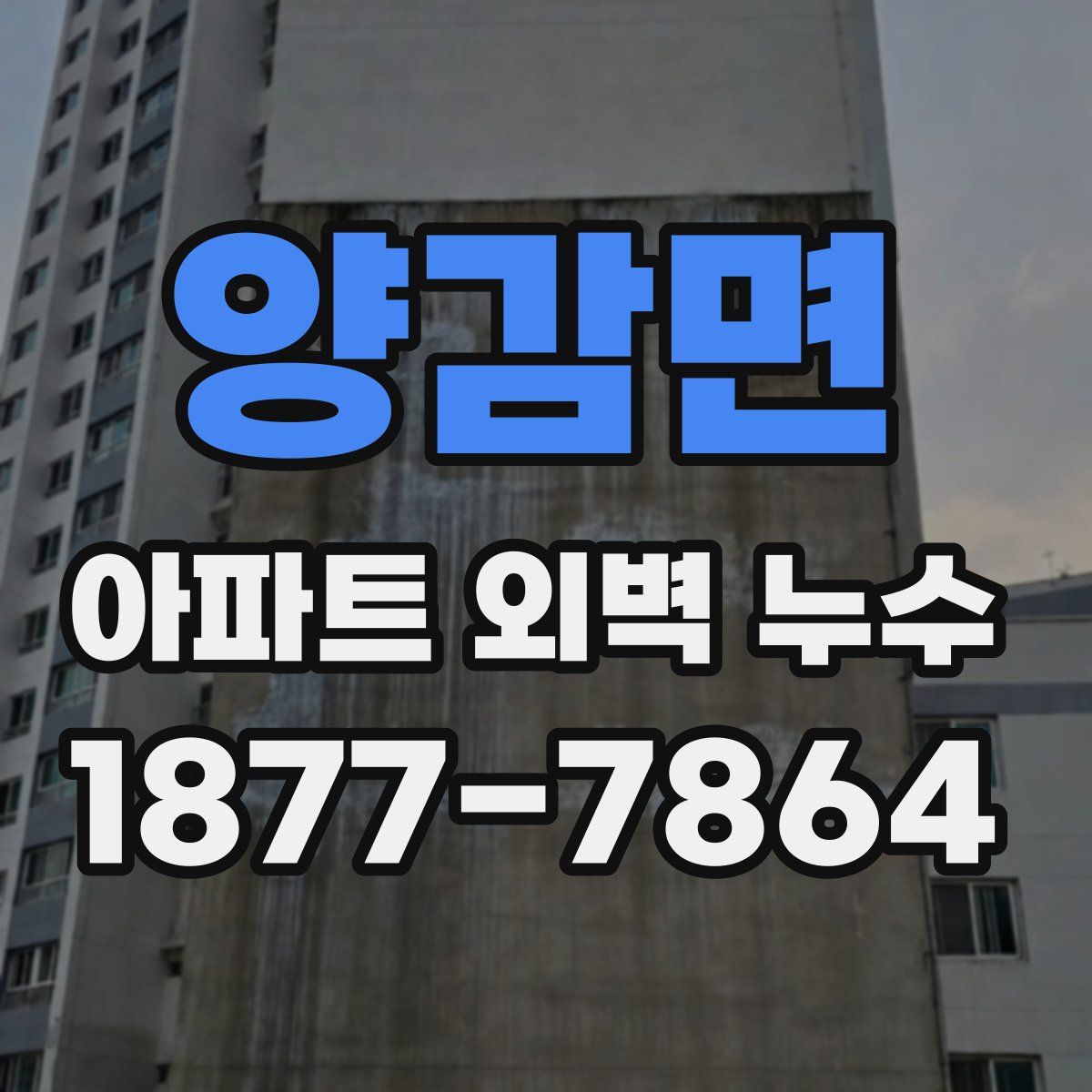 양감면 아파트 외벽 누수