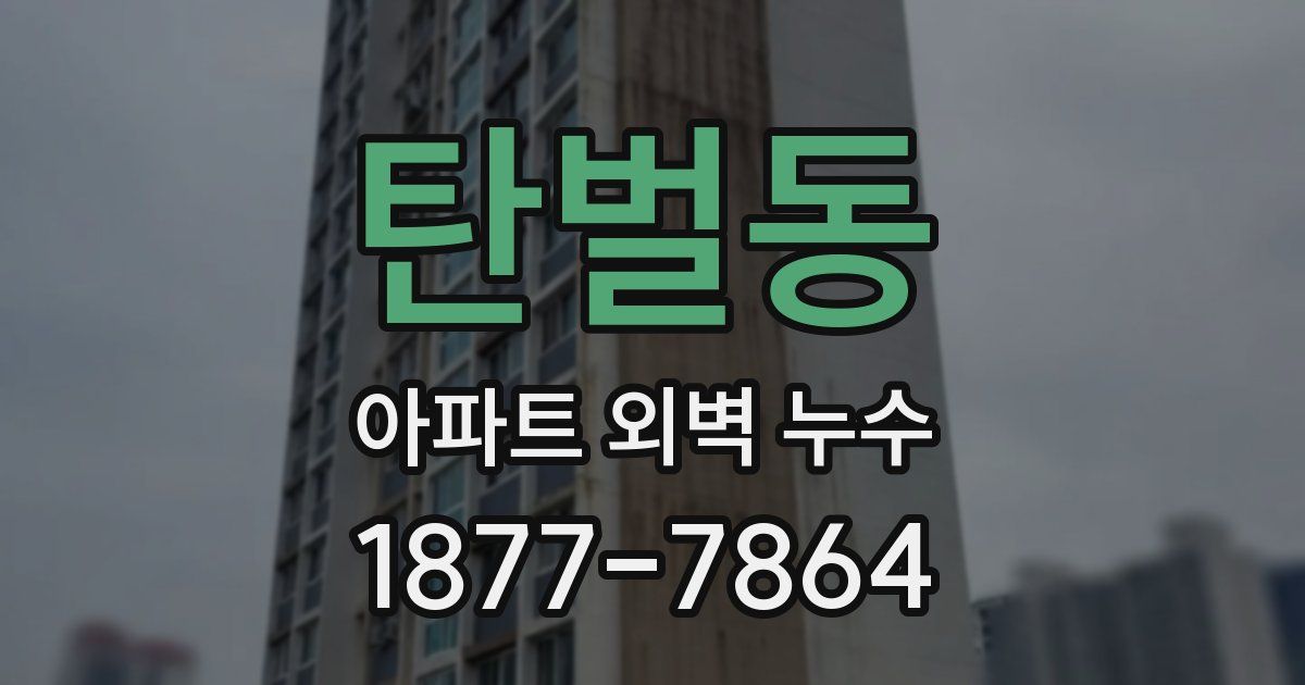 탄벌동 아파트 외벽 누수