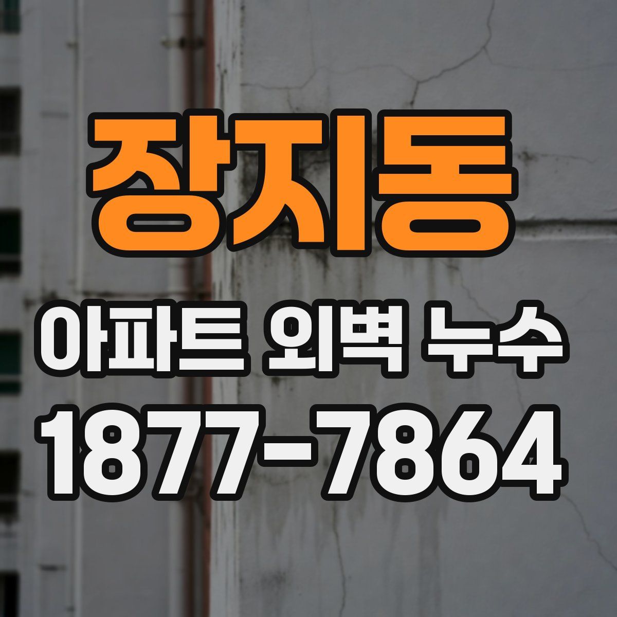 장지동 아파트 외벽 누수