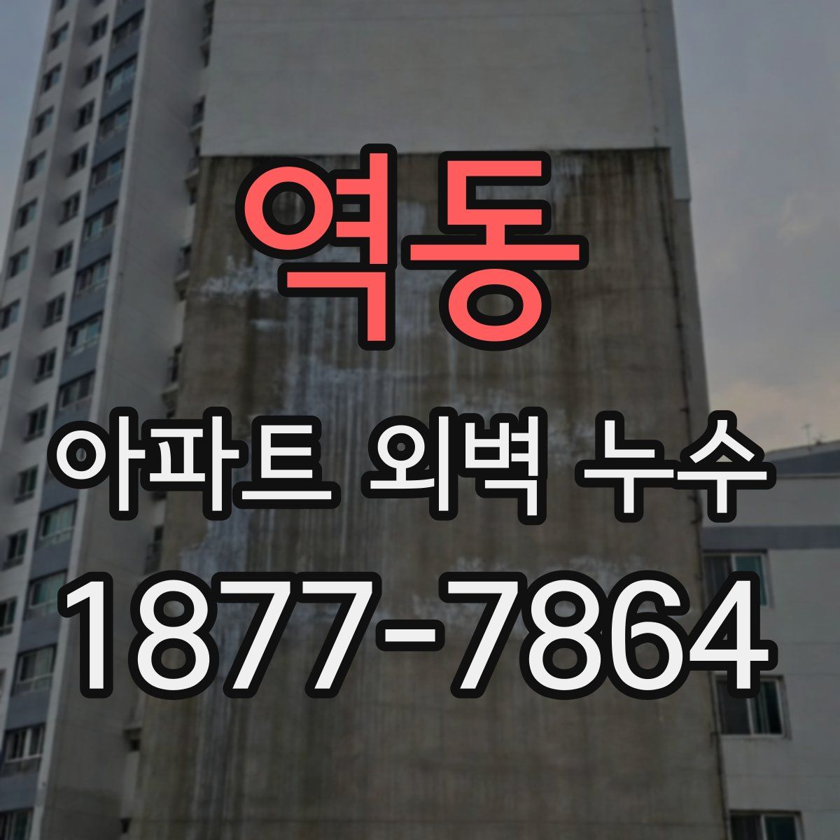 역동 아파트 외벽 누수