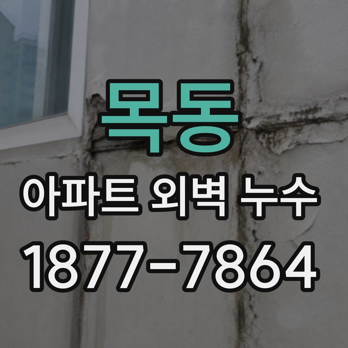 목동 아파트 외벽 누수
