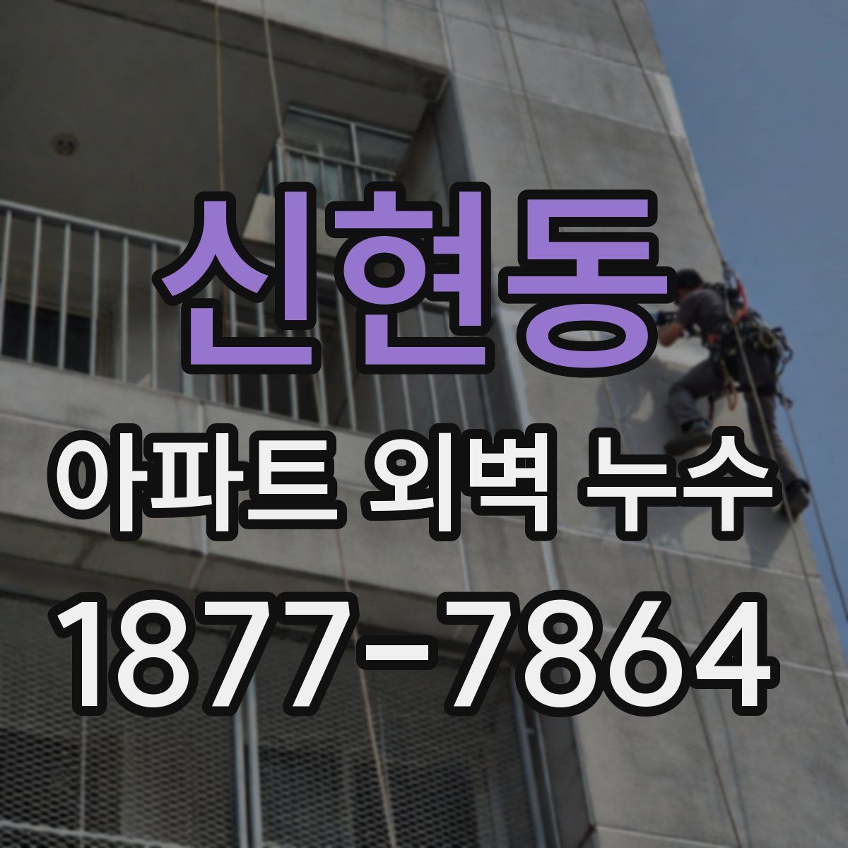 신현동 아파트 외벽 누수