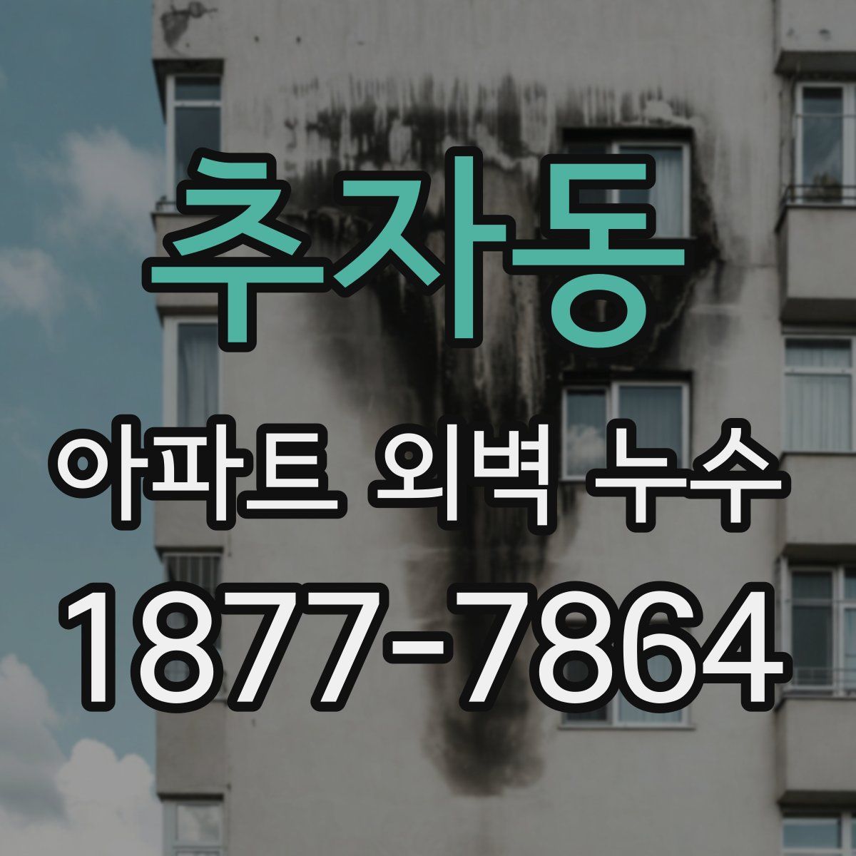 추자동 아파트 외벽 누수