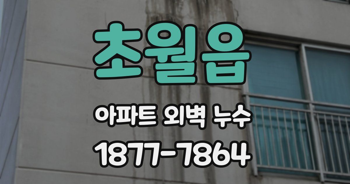 초월읍 아파트 외벽 누수