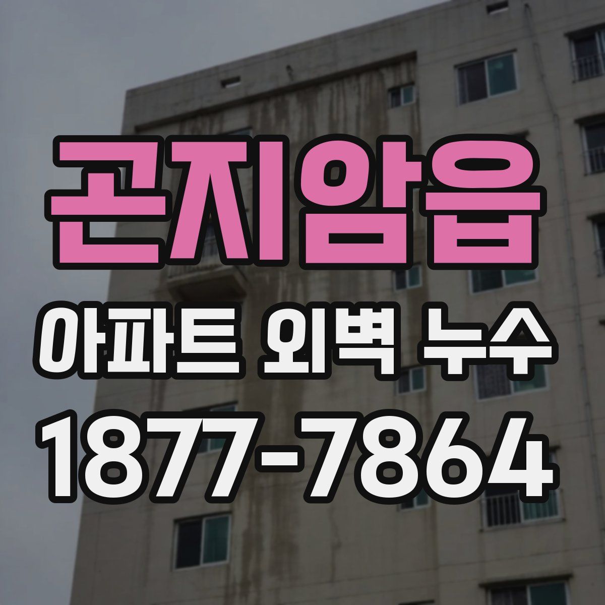 곤지암읍 아파트 외벽 누수
