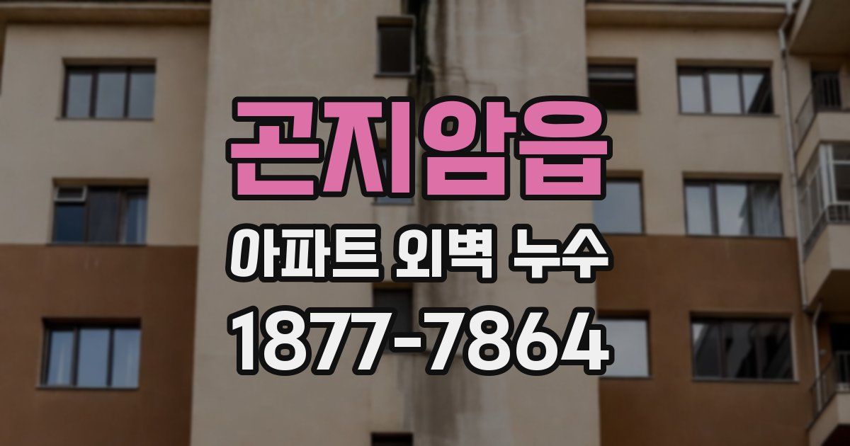 곤지암읍 아파트 외벽 누수