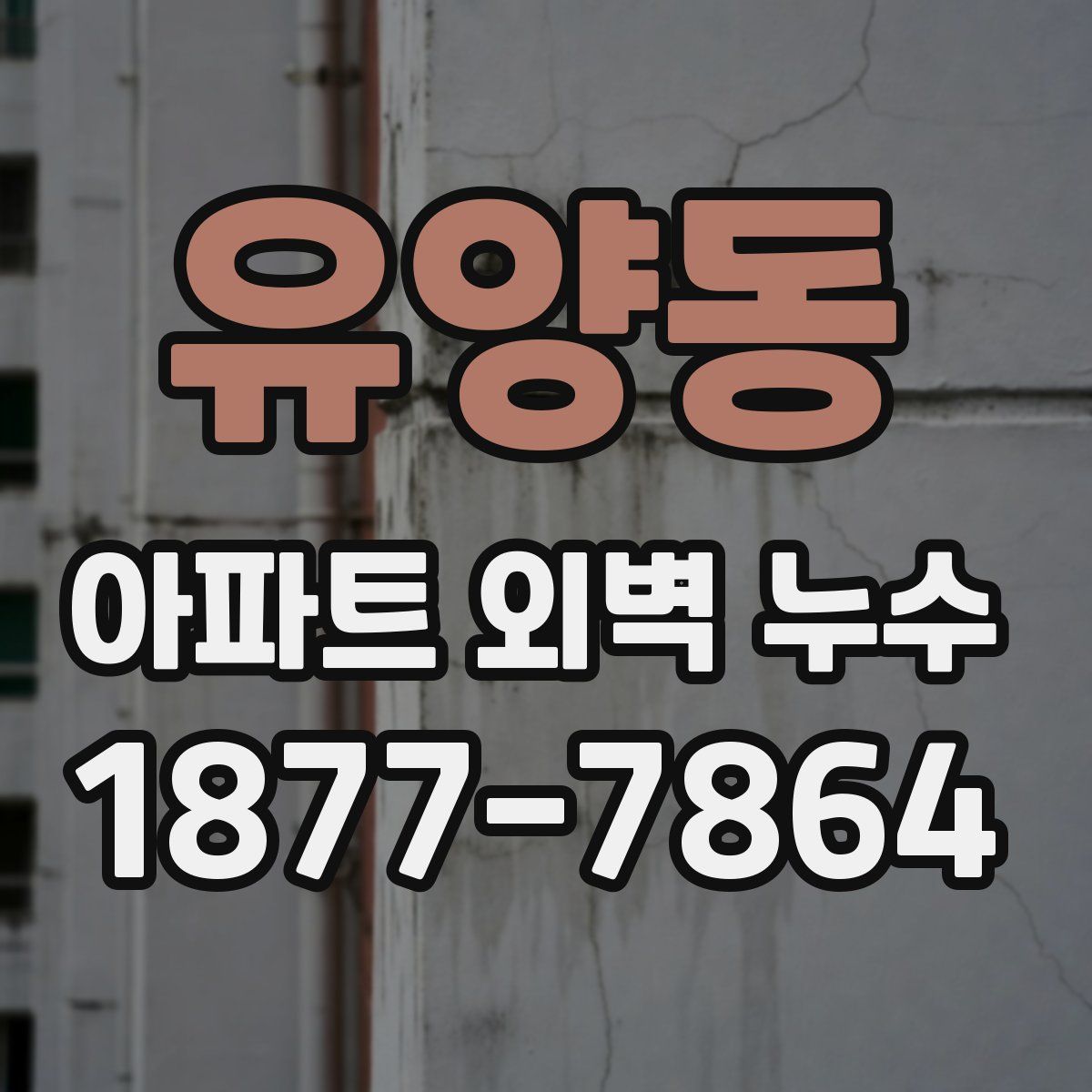 유양동 아파트 외벽 누수