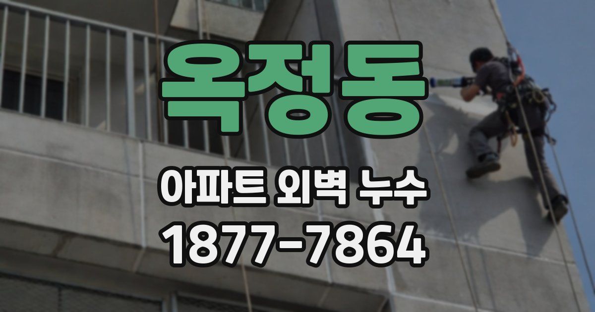 옥정동 아파트 외벽 누수