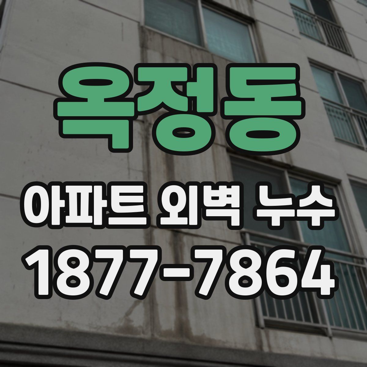 옥정동 아파트 외벽 누수