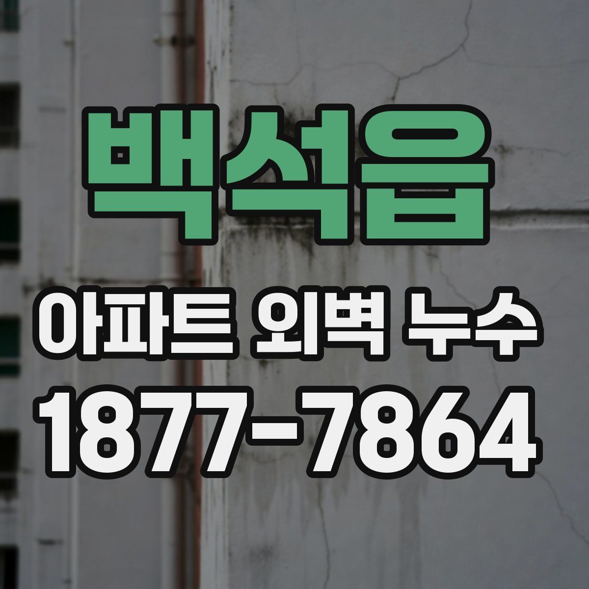 백석읍 아파트 외벽 누수