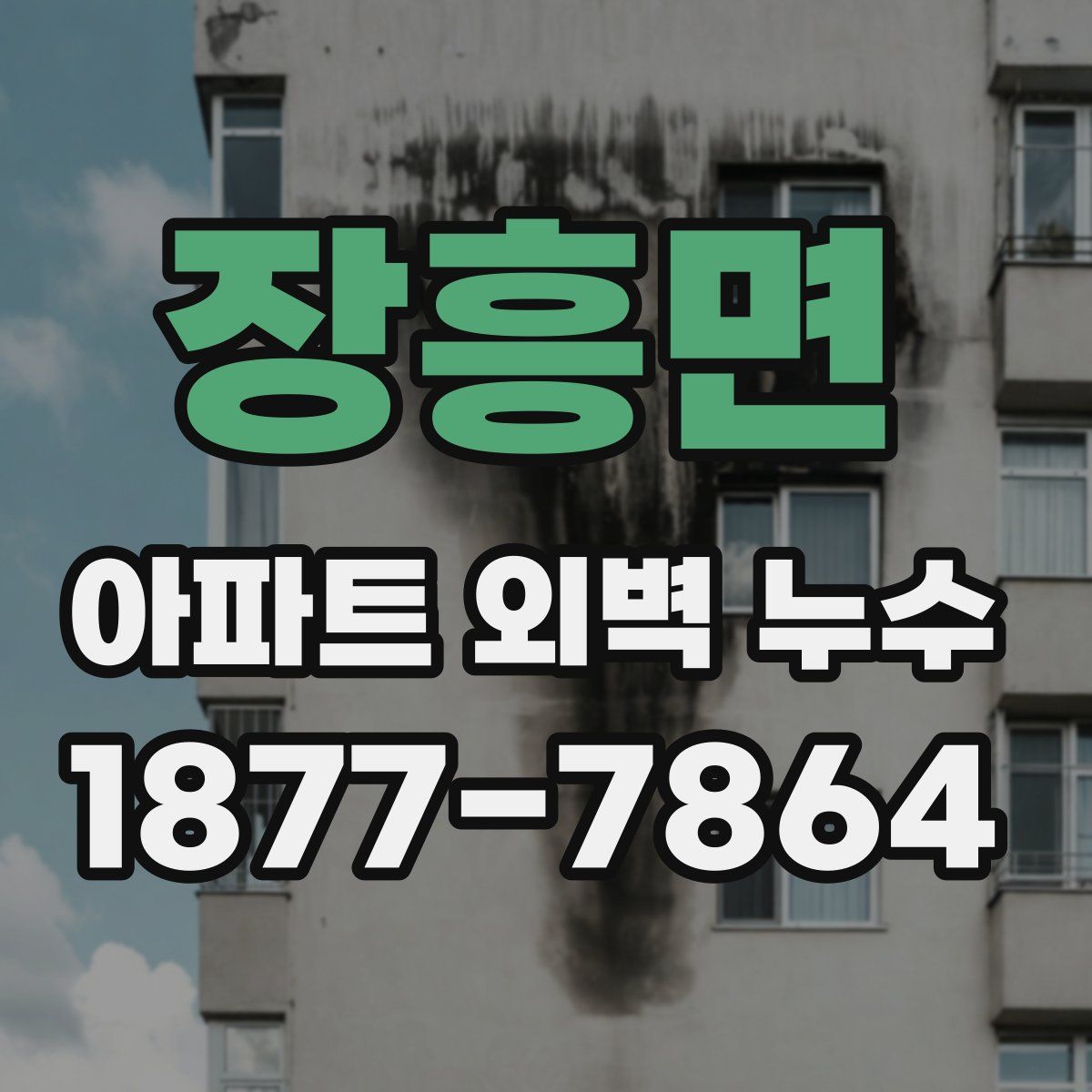 장흥면 아파트 외벽 누수