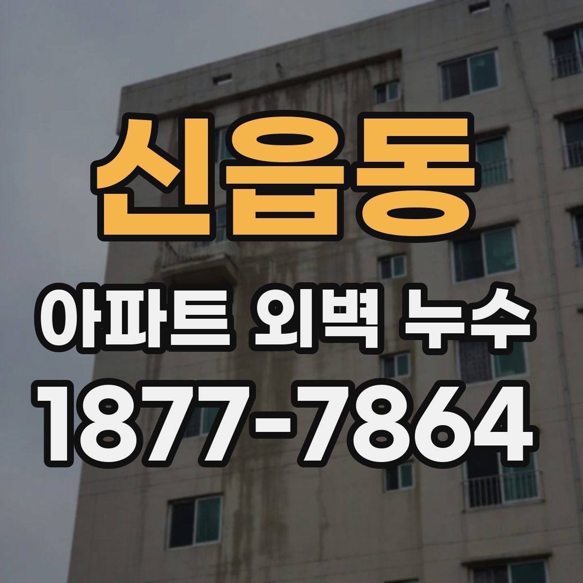 신읍동 아파트 외벽 누수 발생 시 입주민이 알아둘 점