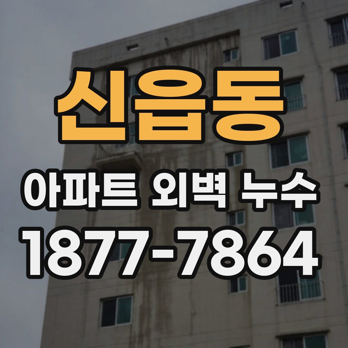 신읍동 아파트 외벽 누수