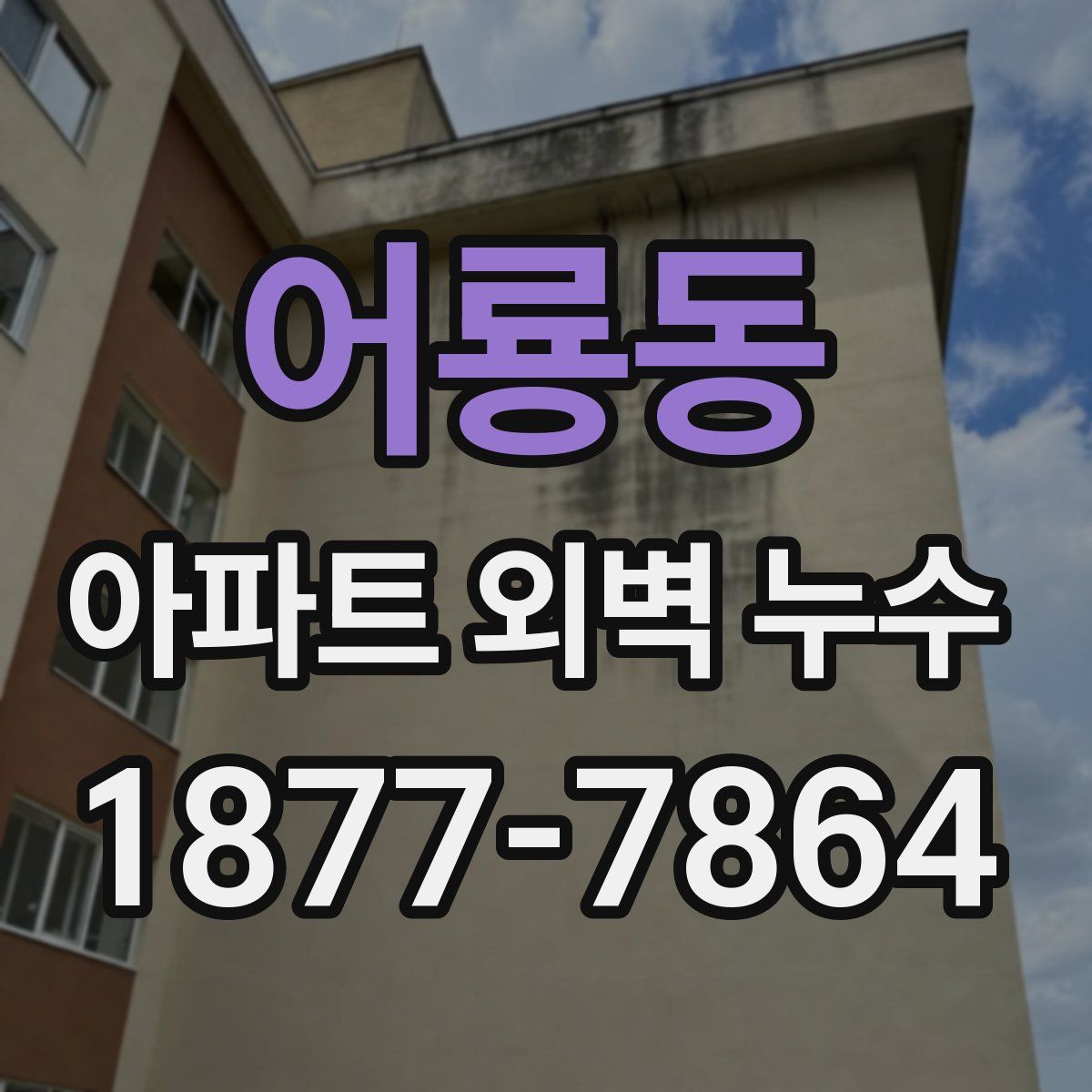 어룡동 아파트 외벽 누수