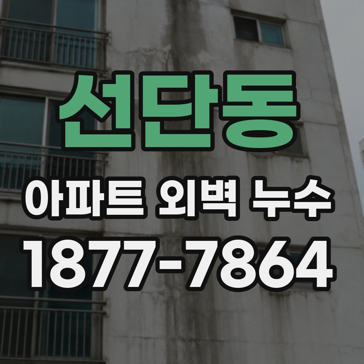 선단동 아파트 외벽 누수