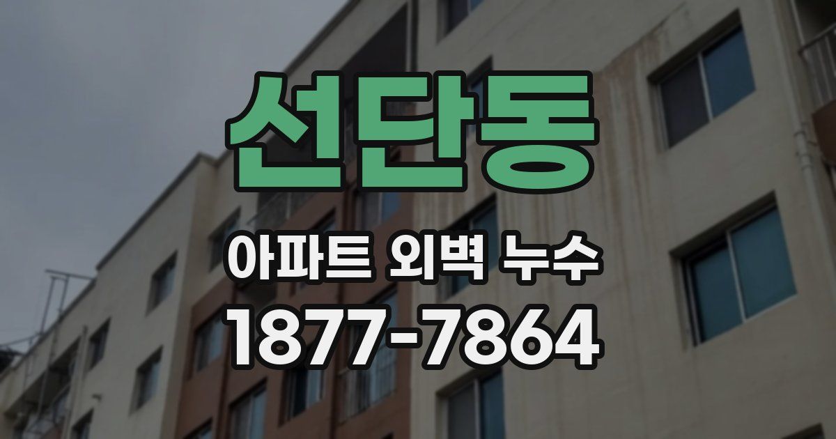 선단동 아파트 외벽 누수