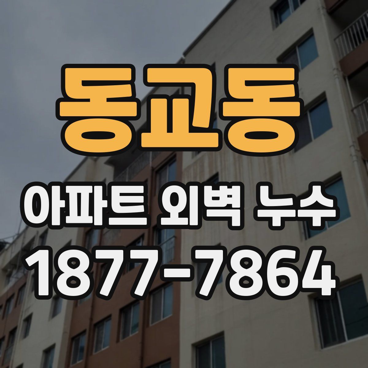 동교동 아파트 외벽 누수
