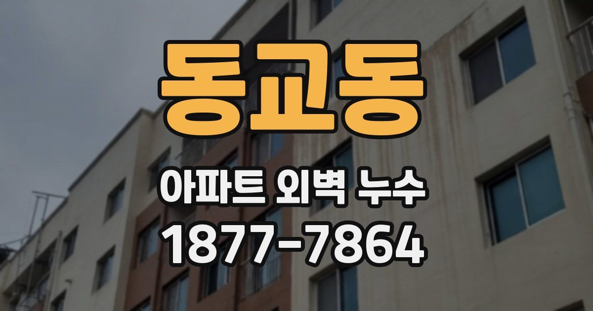 동교동 아파트 외벽 누수