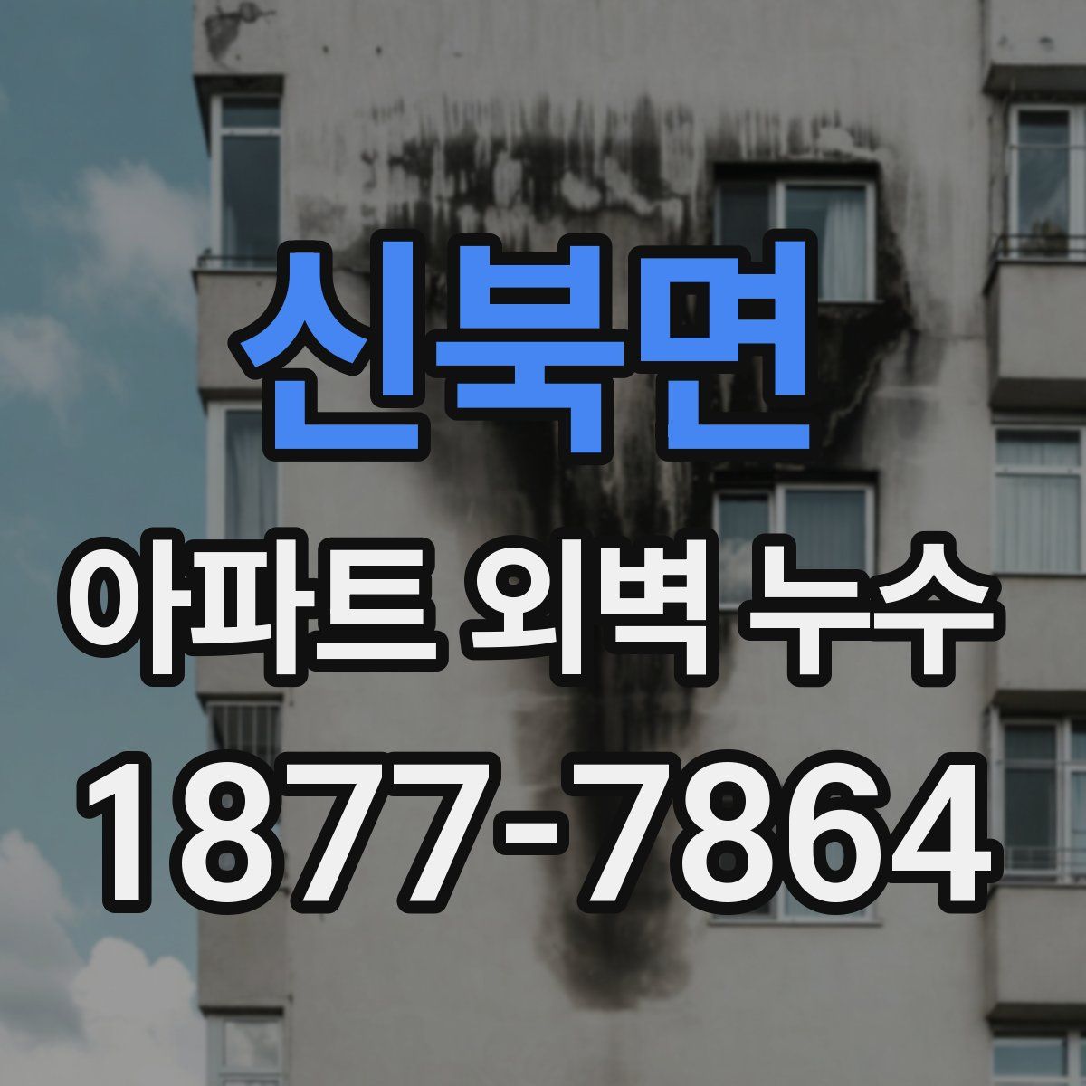 신북면 아파트 외벽 누수