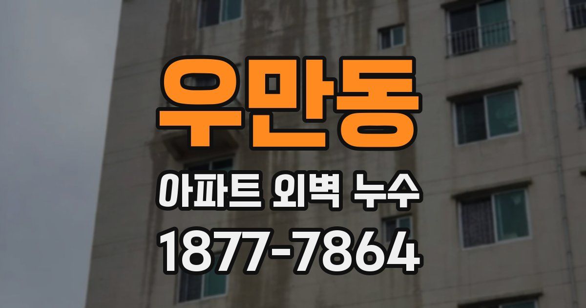 우만동 아파트 외벽 누수