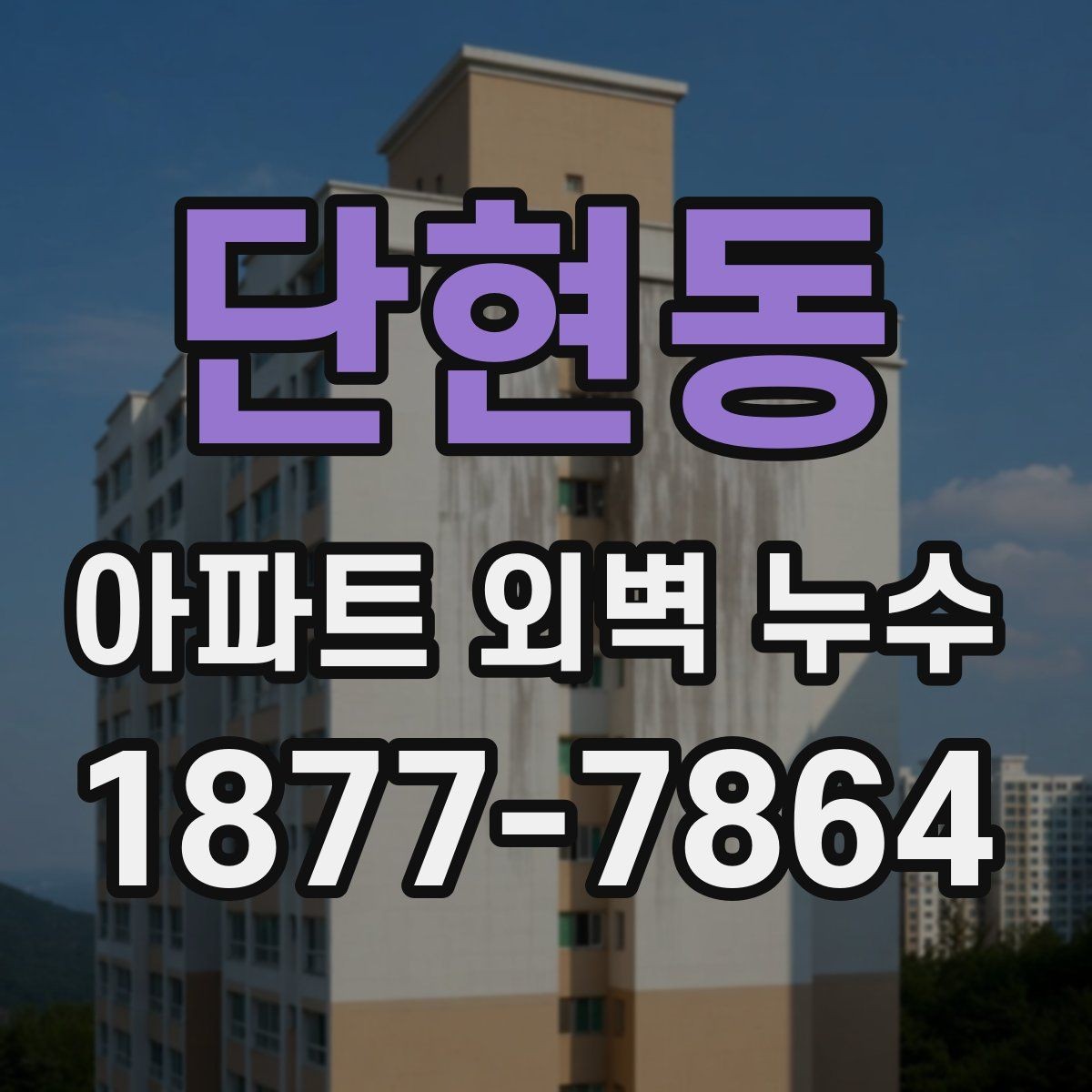단현동 아파트 외벽 누수 계단식·판상형 구조별 차이