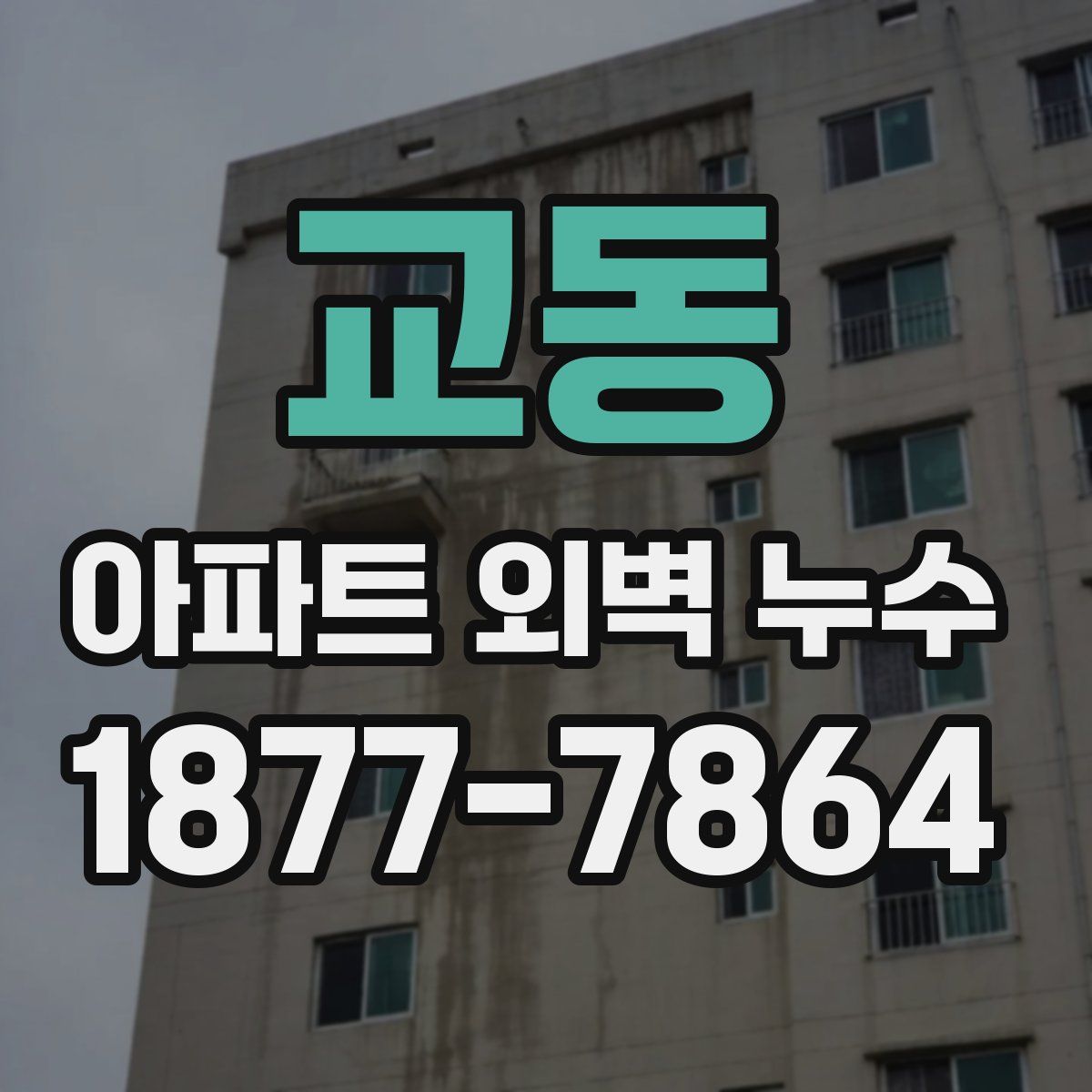 교동 아파트 외벽 누수