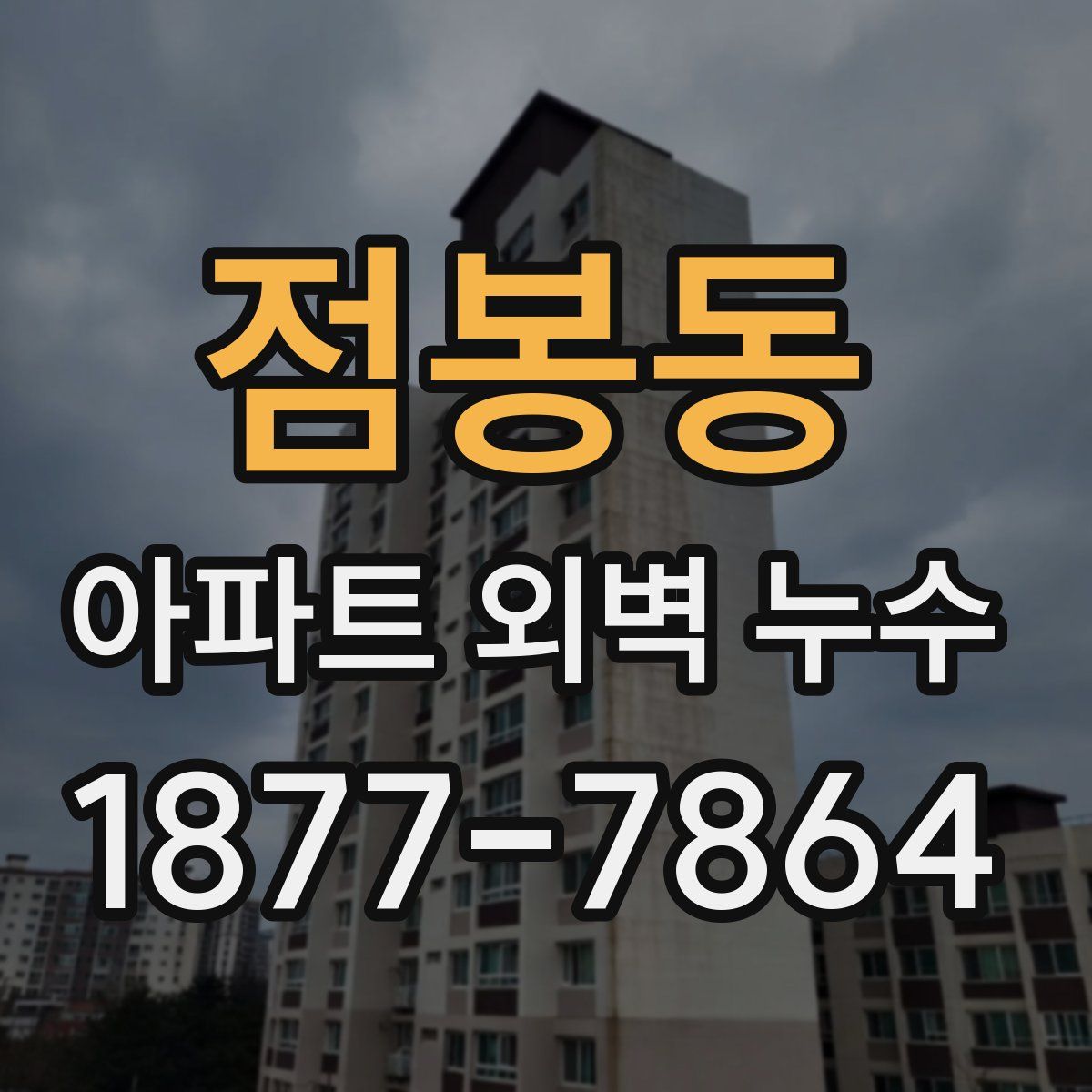 점봉동 아파트 외벽 누수