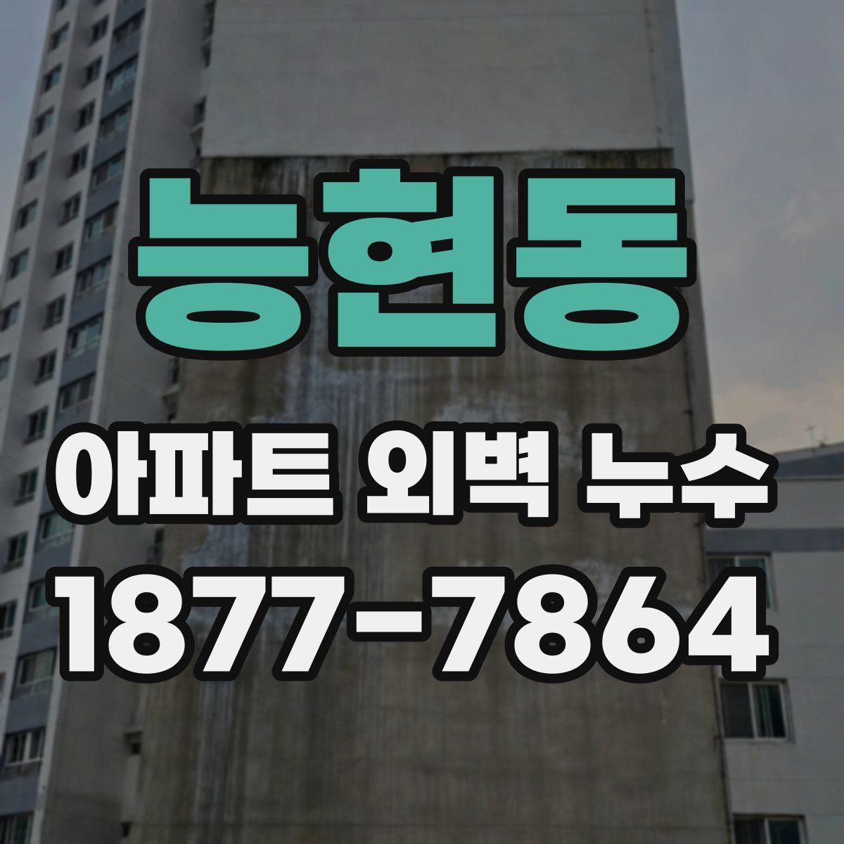 능현동 아파트 외벽 누수