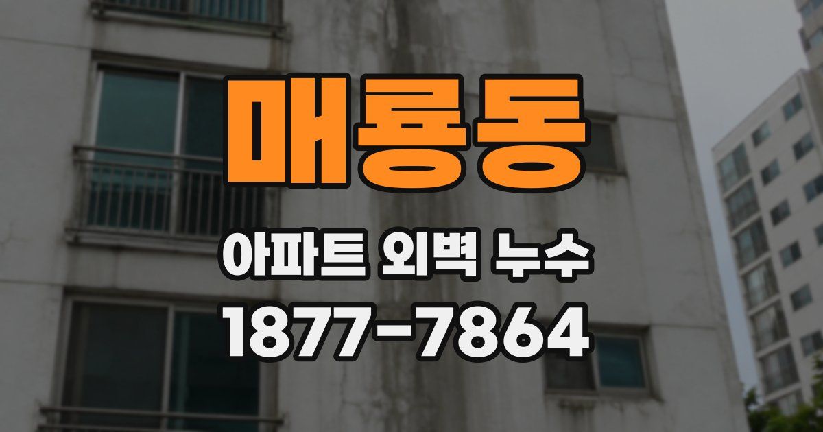 매룡동 아파트 외벽 누수