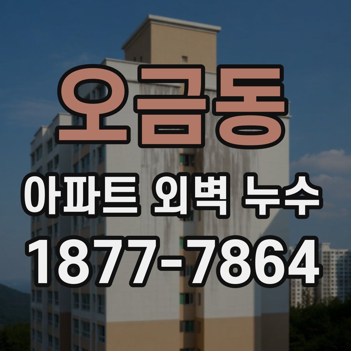 오금동 아파트 외벽 누수