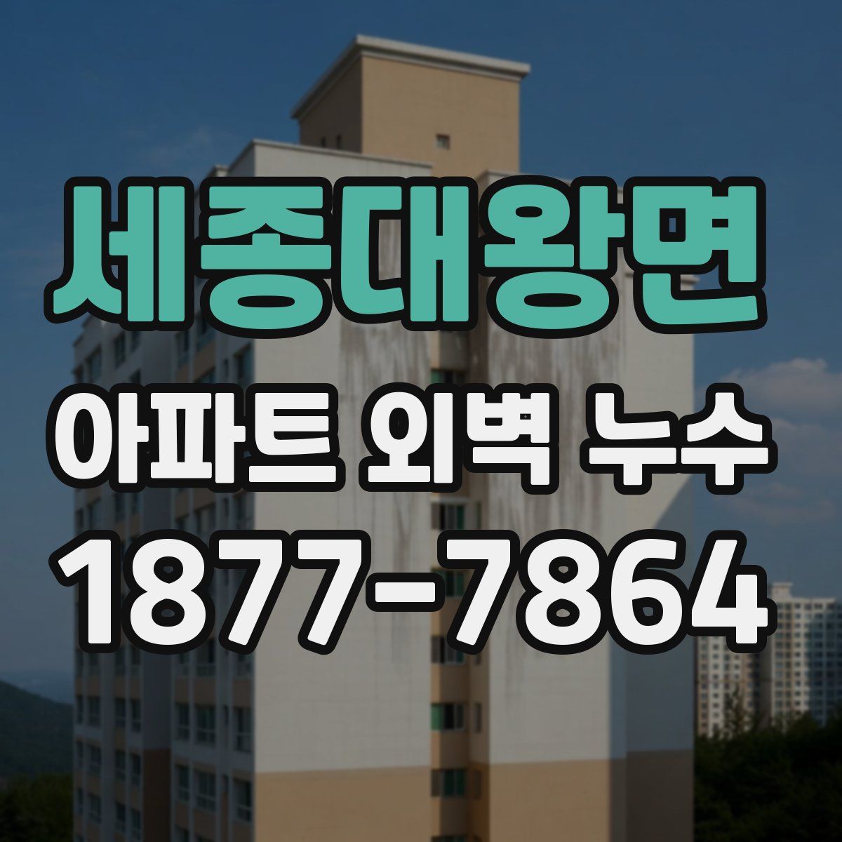 세종대왕면 아파트 외벽 누수