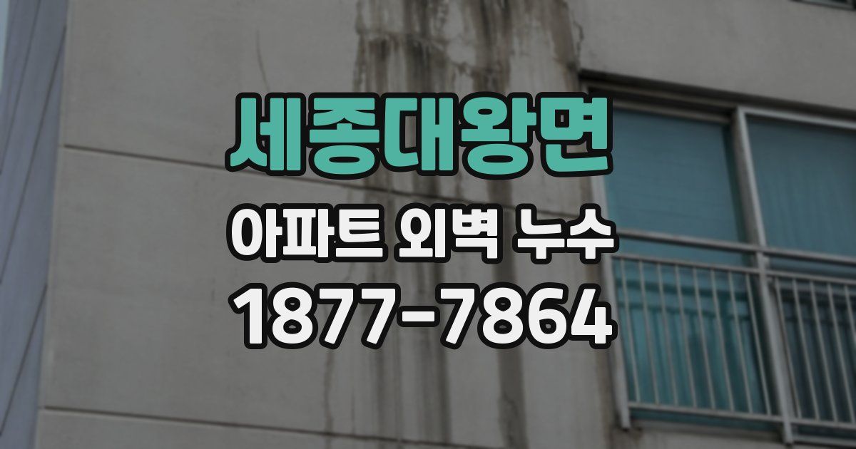 세종대왕면 아파트 외벽 누수