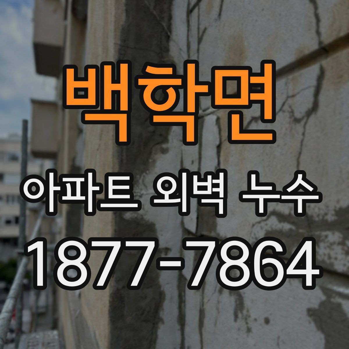 백학면 아파트 외벽 누수 흔한 증상과 대응 방법