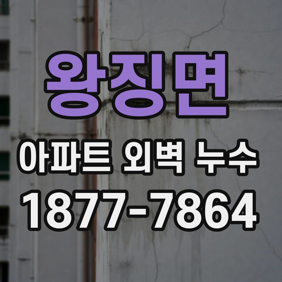 왕징면 아파트 외벽 누수