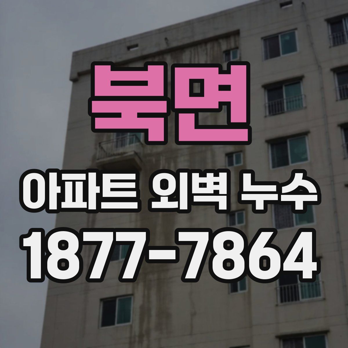 북면 아파트 외벽 누수