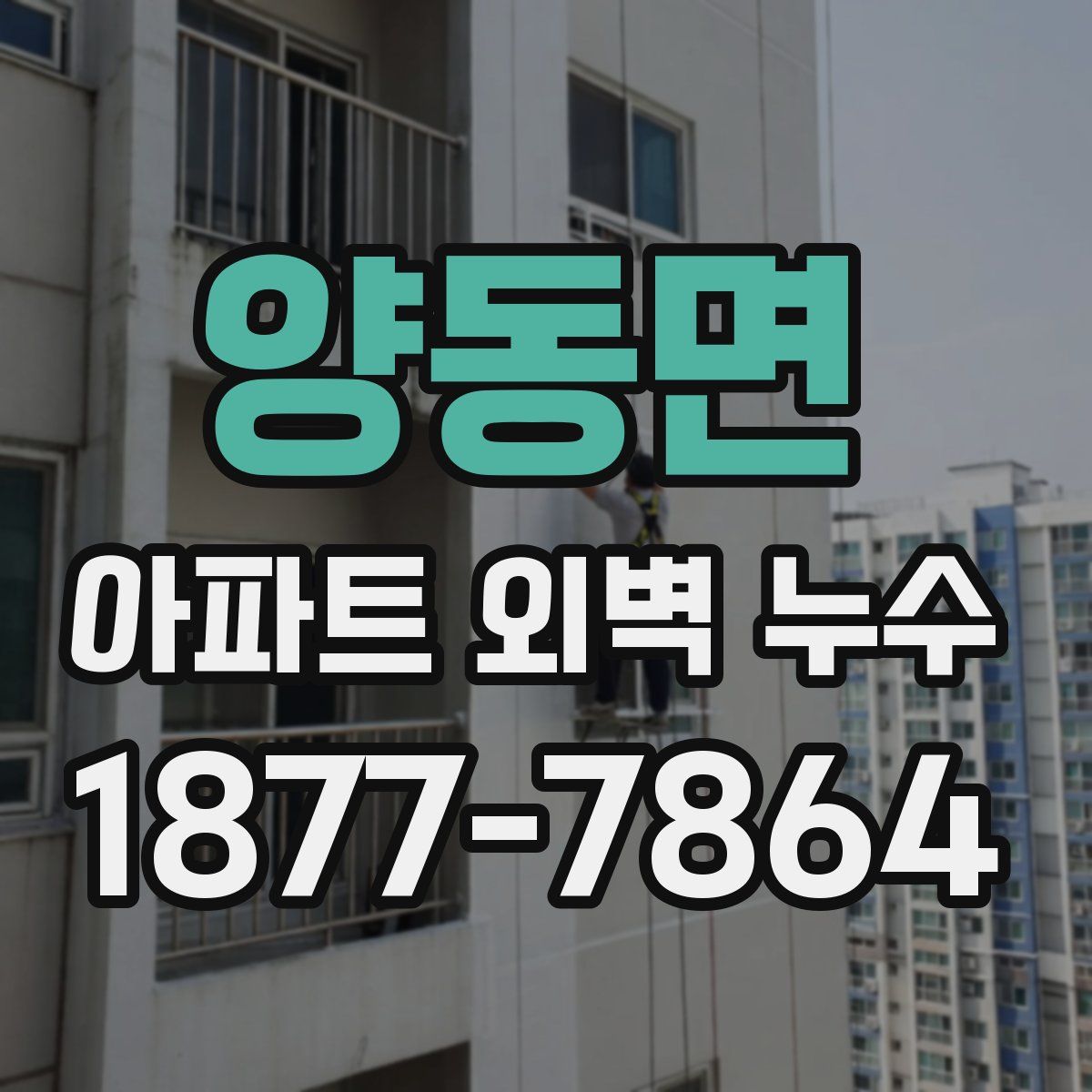 양동면 아파트 외벽 누수