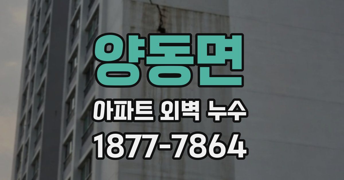 양동면 아파트 외벽 누수