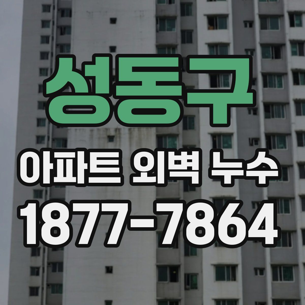 성동구 아파트 외벽 누수