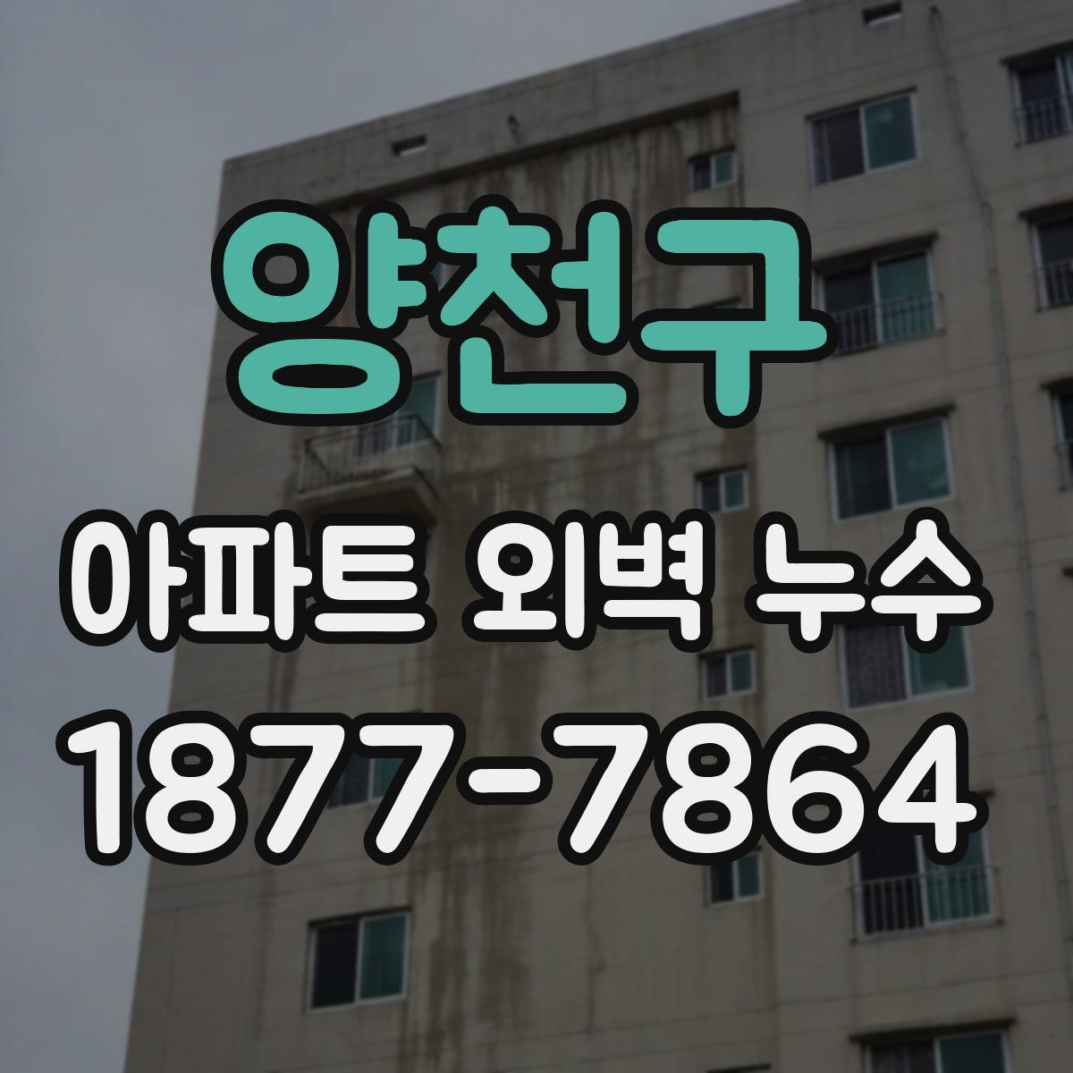 양천구 아파트 외벽 누수