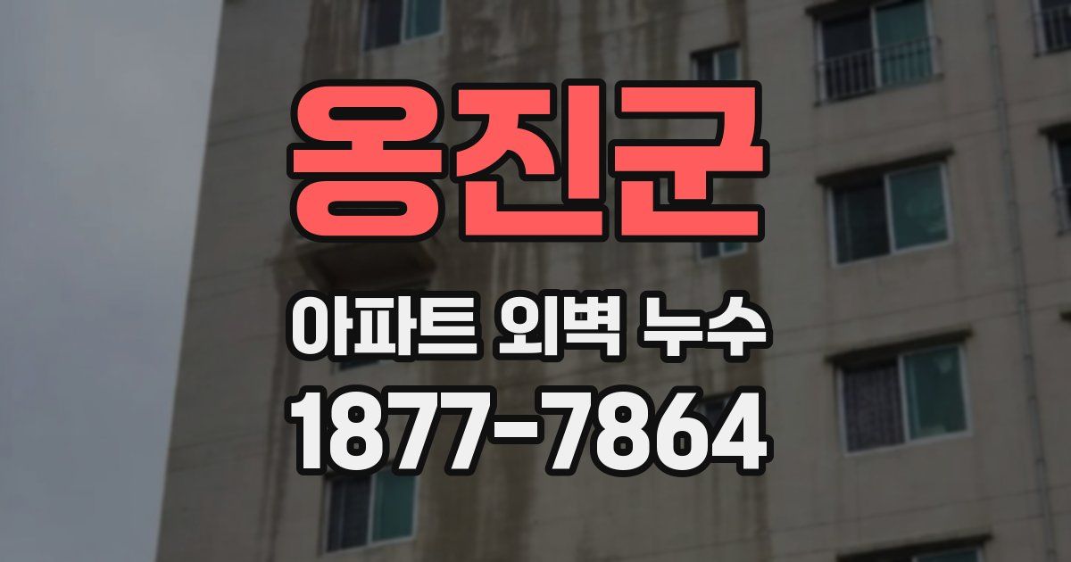 옹진군 아파트 외벽 누수