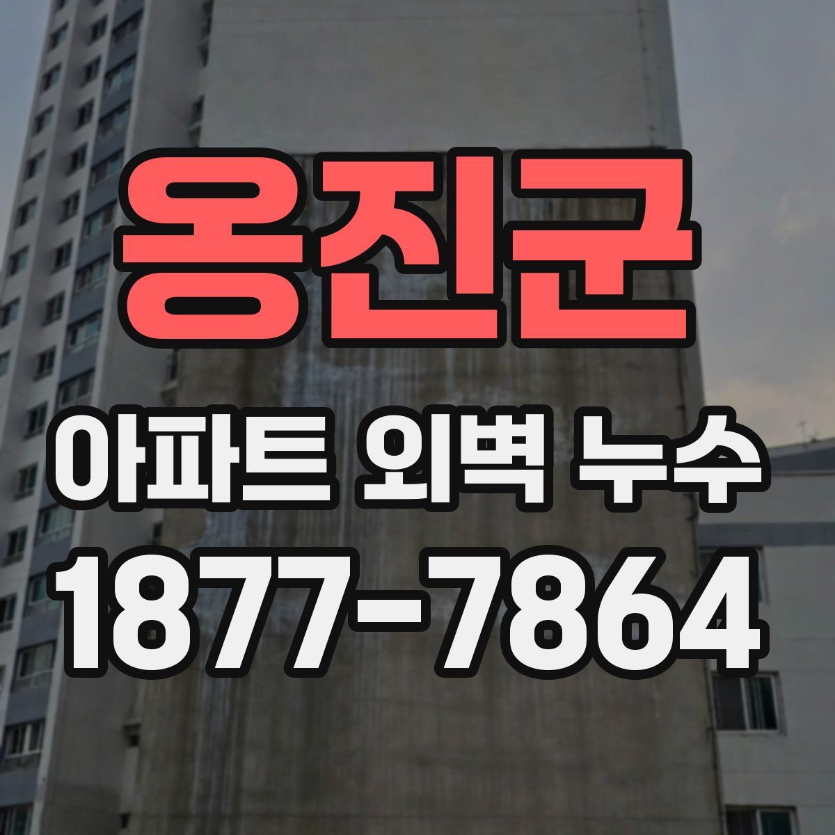 옹진군 아파트 외벽 누수