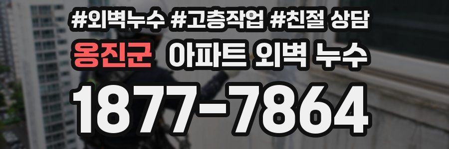 옹진군 아파트 외벽 누수