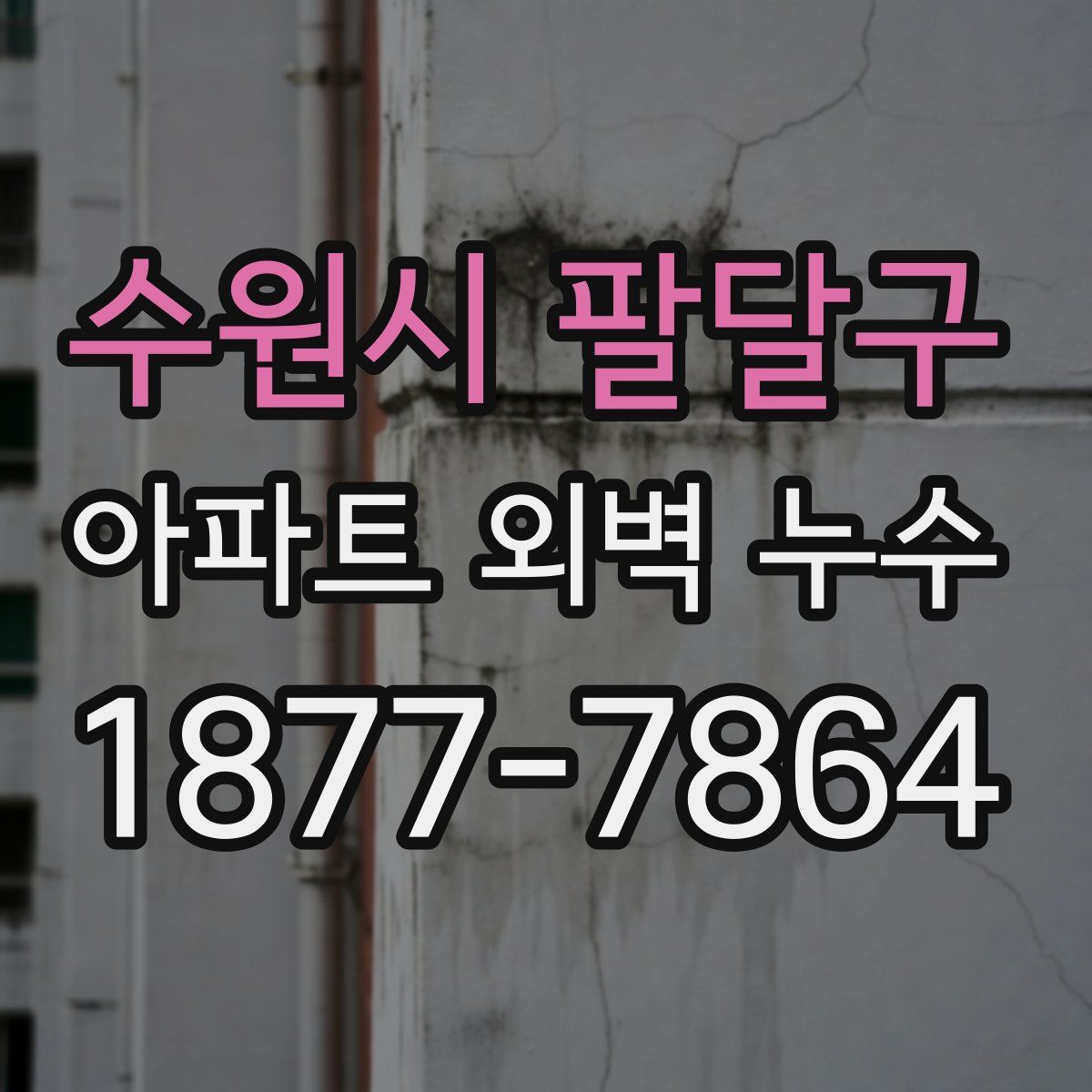 수원시 팔달구 아파트 외벽 누수