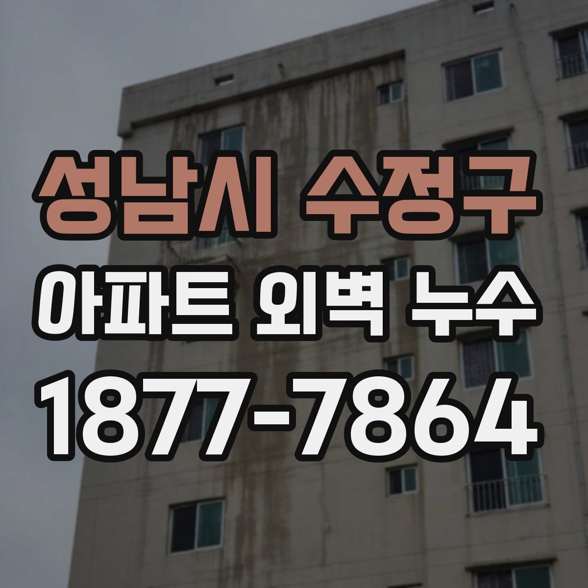 성남시 수정구 아파트 외벽 누수