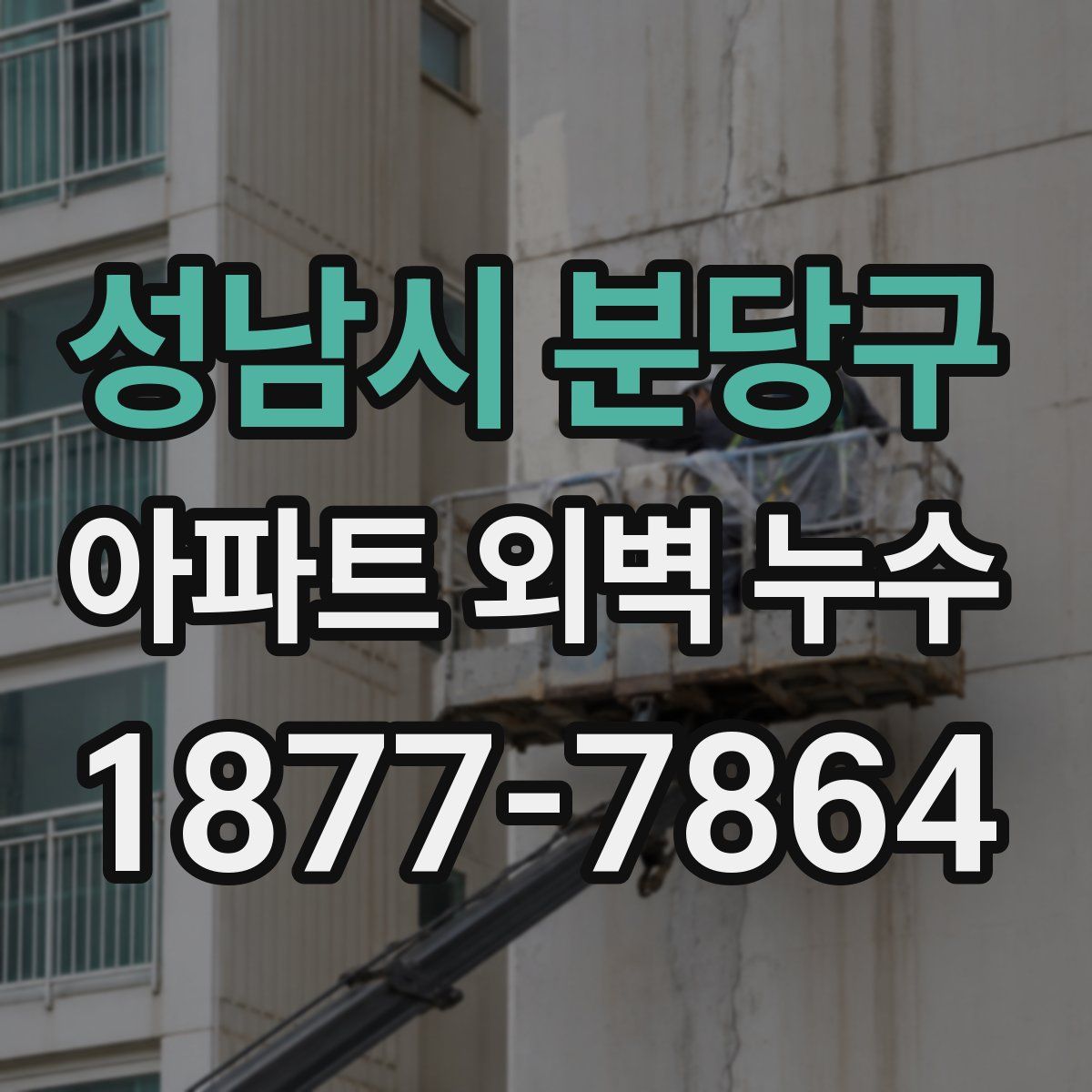 성남시 분당구 아파트 외벽 누수